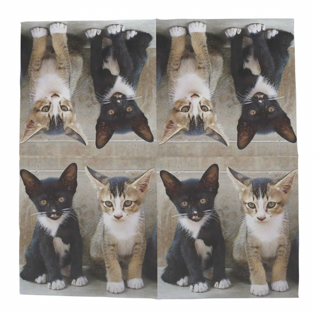 Servetele multicolore din hartie 33x33 cm Kittens Esschert Design