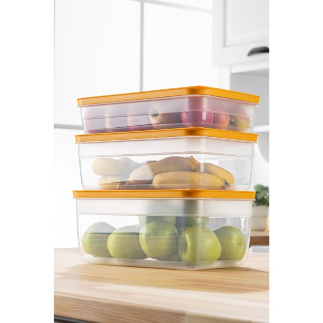 Set 3 recipiente cu capac portocalii din plastic HK3LU The Home Collection