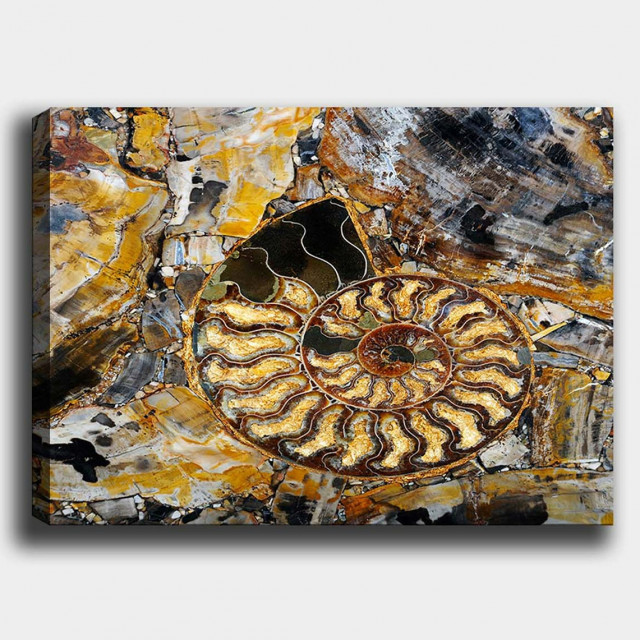 Tablou multicolor din fibre naturale 70x100 cm Snail The Home Collection