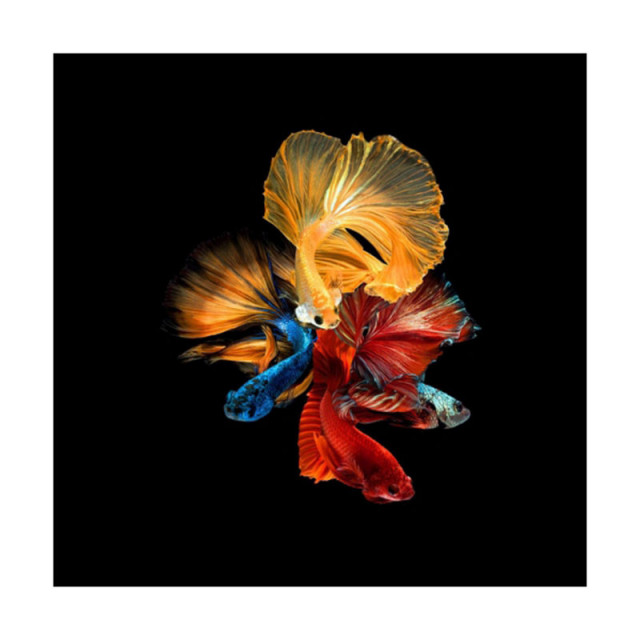 Tablou multicolor din sticla 80x80 cm Betta The Home Collection