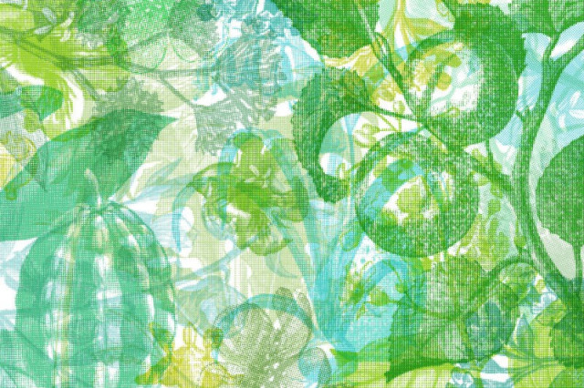 Tapet verde din hartie cu fibre de nailon Jelly Belly Plants Green Rebel Walls