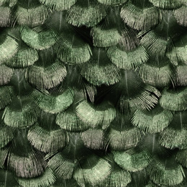 Tapet verde/negru din hartie cu fibre de nailon Petite Peackock Rebel Walls