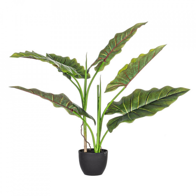 Planta artificiala verde din fibre sintetice 78 cm Dieffenbachia Bizzotto