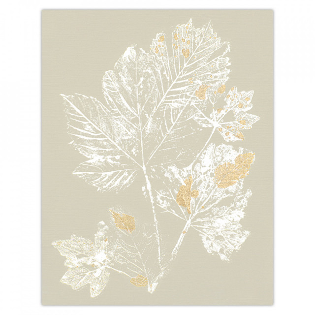 Poster multicolor din hartie 36x46 cm Maple Woood