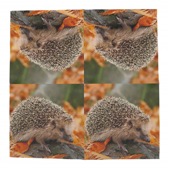 Servetele multicolore din hartie 33x33 cm Hedgehogs Esschert Design