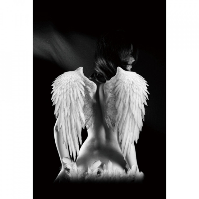Tablou alb/negru din sticla 80x120 cm Angel The Home Collection