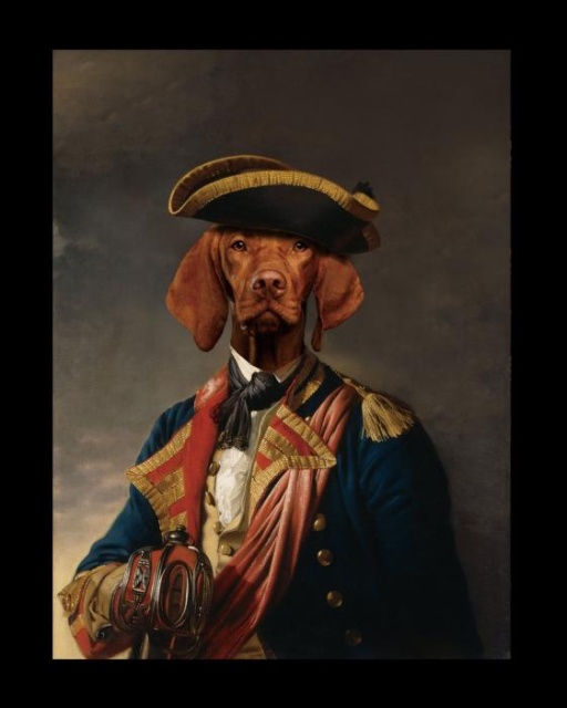 Tablou multicolor din sticla 45x50 cm Captain Dog Ter Halle