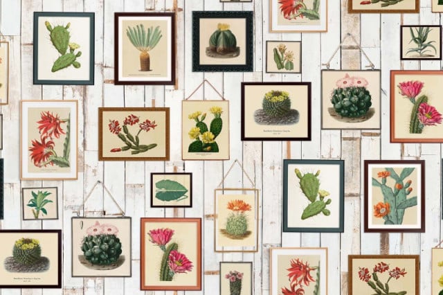 Tapet multicolor din hartie Cactus Wall Art Rebel Walls