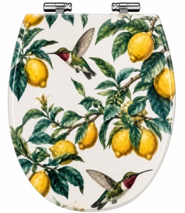 Capac pentru toaleta multicolor din plastic Alberola Wenko