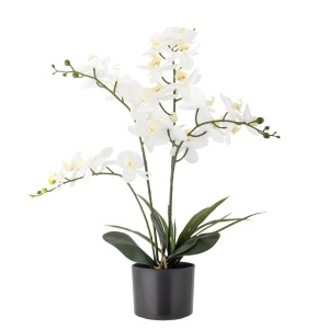 Floare artificiala cu ghiveci alba/verde din fibre sintetice 84 cm Orchid Bloomingville