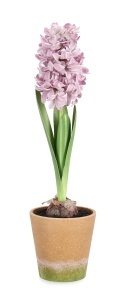 Floare artificiala multicolora din fibre sintetice 52 cm Hyacinth Pink Bizzotto
