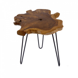 Masuta maro din lemn de tec si metal 53x55 cm Wild Invicta Interior