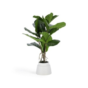 Planta artificiala cu ghiveci din ciment 60 cm Lyrata Kave Home