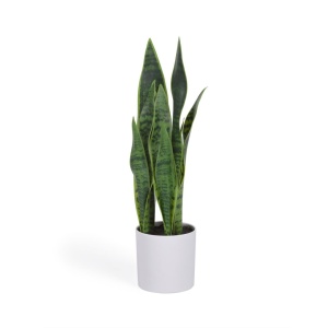 Planta artificiala cu ghiveci din metal 55 cm Sansevieria Kave Home