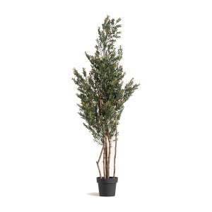Planta artificiala cu ghiveci verde din fibre sintetice 165 cm Boj Vical Home