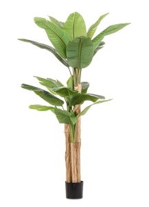 Planta artificiala cu ghiveci verde din plastic 200 cm Banana Bizzotto