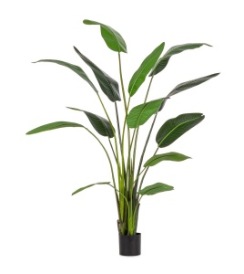 Planta artificiala cu ghiveci verde din plastic 235 cm Sterilizia Bizzotto