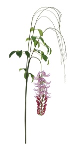 Planta artificiala multicolora din plastic 210 cm Macuna Kaylin Bizzotto