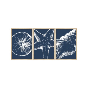 Set 3 tablouri multicolore din lemn 35x50 cm Huhu238 The Home Collection