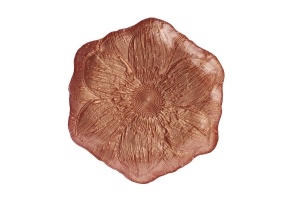 Set 5 farfurii pentru desert portocalii din sticla 22 cm Elroy6p The Home Collection