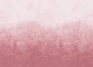 Tapet roz din hartie Ash Gradient Rebel Walls
