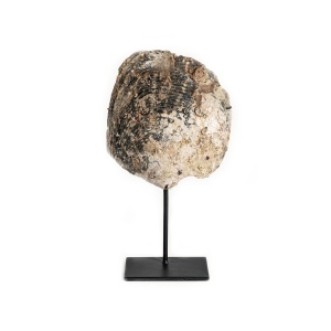 Decoratiune maro/neagra din fibre naturale 33 cm Sasha Vical Home
