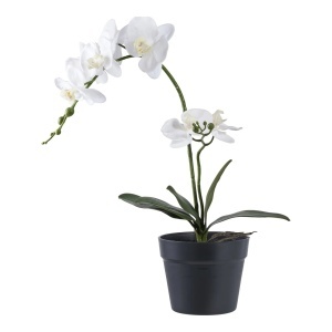 Floare artificiala alba/verde din fibre sintetice 47 cm Orchid House Nordic