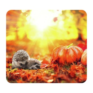 Placa protectie plita multicolora din sticla 50x56 cm Herbst Wenko