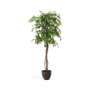 Planta artificiala cu ghiveci din ciment 180 cm Ficus Kave Home