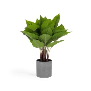 Planta artificiala cu ghiveci din ciment 50 cm Anthurium Kave Home