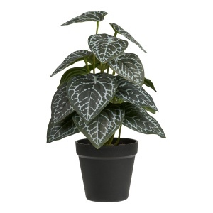 Planta artificiala din fibre sintetice verzi 33 cm Special House Nordic
