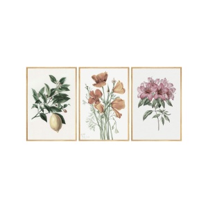 Set 3 tablouri multicolore din lemn 35x50 cm Huhu278 The Home Collection