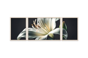 Set 3 tablouri multicolore din lemn 50x140 cm Huhu309 The Home Collection