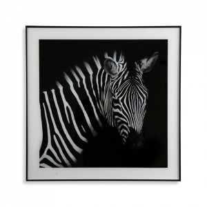 Tablou alb/negru din sticla 50x50 cm Zebra Versa Home