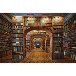 Tapet multicolor din hartie Vintage Library Rebel Walls