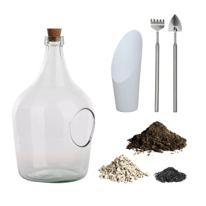 Terariu cu accesorii transparent din sticla DIY 3 L Esschert Design