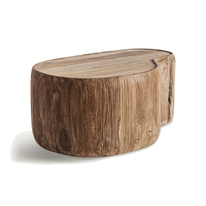 Masa de cafea maro din lemn 60x90 cm Erloy Vical Home