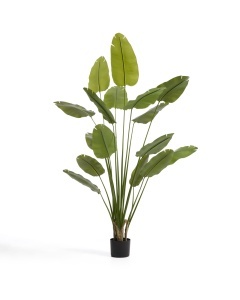 Planta artificiala cu ghiveci verde din fibre sintetice 248 cm Banana Kave Home