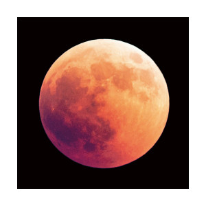 Tablou portocaliu/negru din sticla 80x80 cm Moon Signal Meble