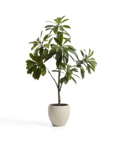 Planta artificiala cu ghiveci verde din fibre sintetice 240 cm FrangipaniKave Home