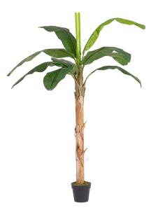 Planta artificiala verde/neagra din fibre sintetice 200 cm Banana Bizzotto