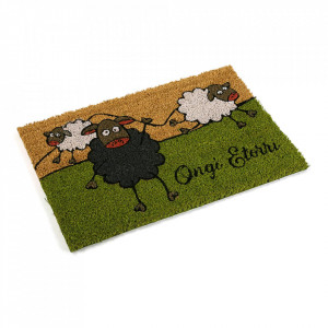 Pres pentru intrare dreptunghiular multicolor din fibre de cocos 40x60 cm Sheep Versa Home