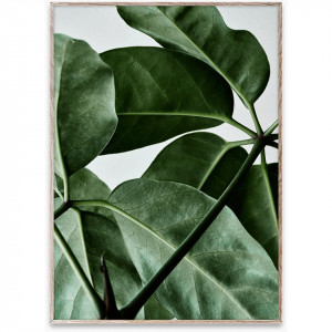 Tablou multicolor cu rama din lemn Green Home 01 Paper Collective