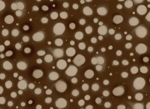 Tapet multicolor din hartie Spotted Puffer Brown Rebel Walls