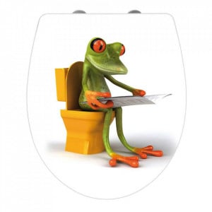 Capac pentru toaleta multicolor din duroplast si inox Frog News Wenko