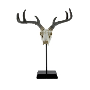 Decoratiune din metal 48 cm Skull LifeStyle Home Collection