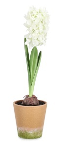 Floare artificiala multicolora din fibre sintetice 52 cm Hyacinth White Bizzotto