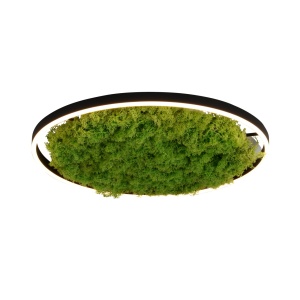 Plafoniera verde/neagra din metal Ritus Zuma Line