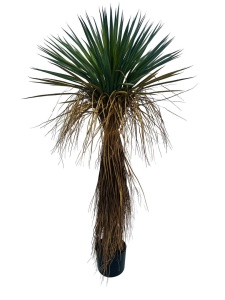 Planta artificiala cu ghiveci verde din fibre sintetice 120 cm Yucca Bizzotto