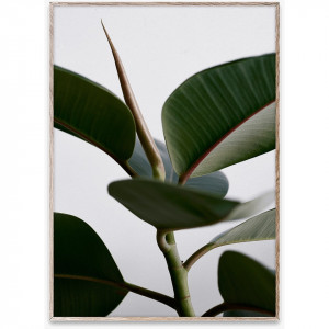 Tablou multicolor cu rama din lemn Green Home 02 Paper Collective